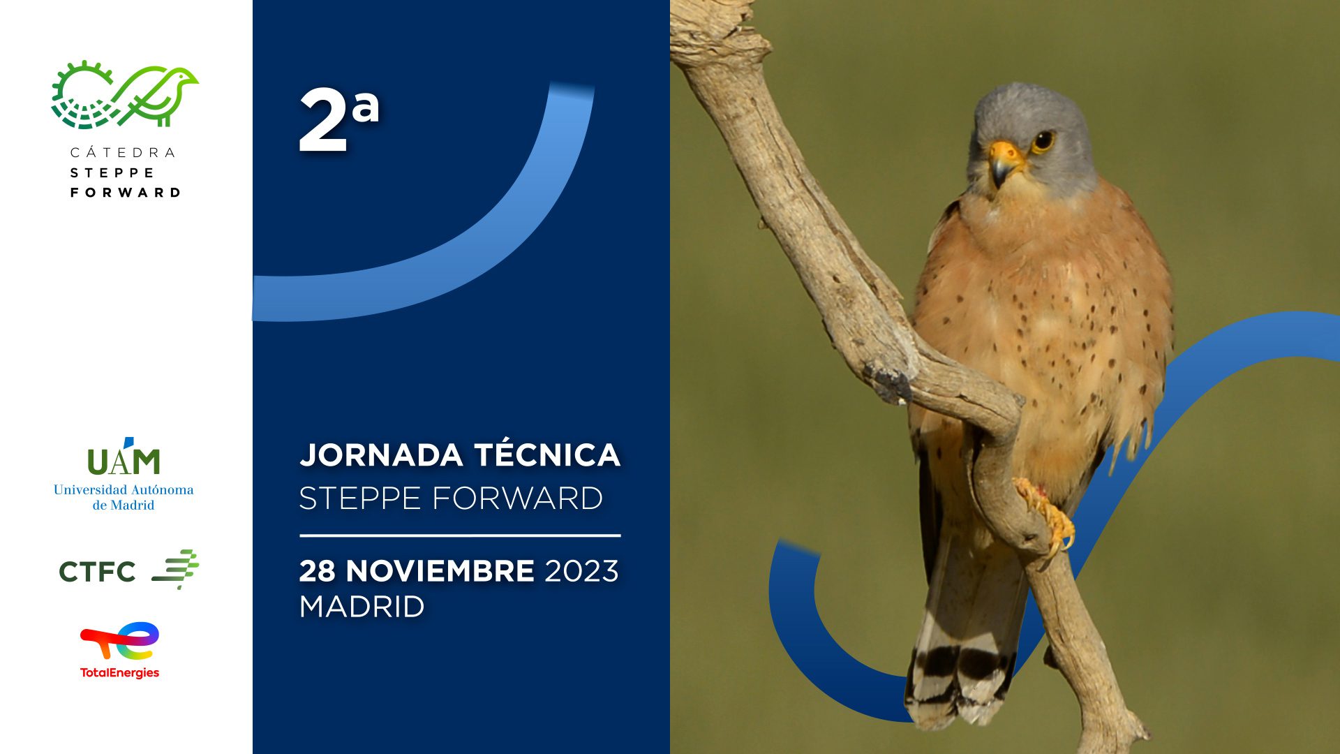 Portada 2a Jornada Tenica CSF Horizontal